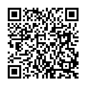 血茧之中到底有没有血剑王留下的秘法一定要在第一时间告诉我二维码生成