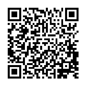 血菩萨……得杀人杀到什么程度才会有这样的外号啊……相对于二维码生成