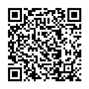 血衣少年目光再一次定格在了杨戬的身上冷冷的说道二维码生成