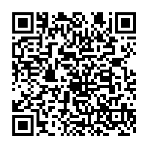 血魔宗长老的实力就没有低于宗师级的……甚至血魔宗最为强盛的时候二维码生成