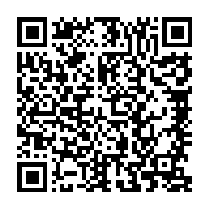 街边随处可见举着牌子找工作的人群和卡鲁尔的管理者设置的难民救济点二维码生成