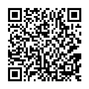 衣服的尺寸我是照着凌予房间里放着的小祈归的衣服大小买的二维码生成