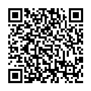 表单上今日之后的所有地质活动以及关联表之中的相关数据二维码生成