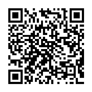 表哥自然不会再把这么一个粗野无知又无耻的贱人放在心上了二维码生成