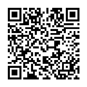 表现优秀者将会获得代表地球参加太阳系军校大比武的机会二维码生成