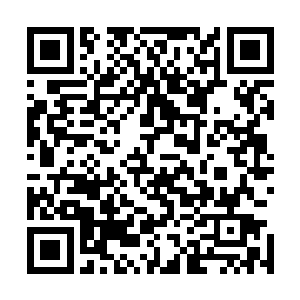 表示西洋各国的海盗再抢劫大齐的商船他们必定会反击回去二维码生成