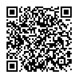 表达着自己心中对这位救了他们族内大长老的年轻人的敬意和感激之情二维码生成