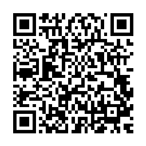 表面看是坚强其实内心还是有一片柔弱的钟杨颖睡得格外踏实二维码生成