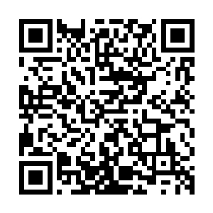 袁和平这位鼎鼎有名的动作指导已经沦落到了拍摄电视剧的程度二维码生成