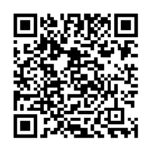 袁飞舟借着卢向东的调动和任职问题进行了一次初步试探二维码生成