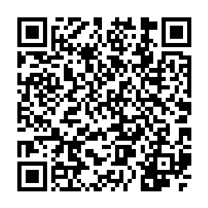 被一个接一个巴掌甩在脸上的愤怒眼中也仿佛燃烧起了一股实质般的怒火二维码生成
