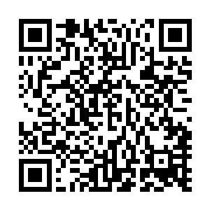 被人这么护着战斗的时候还是头一次――和小宝当时在一起二维码生成