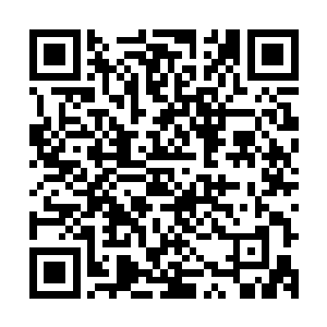 被他们抽丝剥茧般找了出來硬生生挖出几个隐藏在dj多日的特工二维码生成