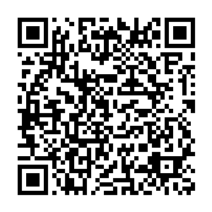 被众人认为天资不行的他也的确没有多少习武或者修炼魔法的天分二维码生成