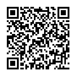 被凌铁寒这一压就连从小到大十分敬重的大哥也不管不顾了二维码生成