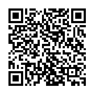 被卫士们小心翼翼的一字摆放在城堡大厅中央一张褐色长圆桌上二维码生成