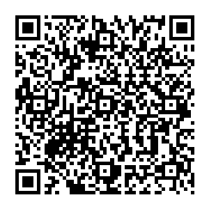 被吸血鬼亲王伊利亚一击击杀……那些教廷的至尊境高手们也都是忍不住长长的松了一口气的二维码生成