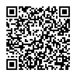 被外面的冰霜冻结只是分分钟的事情……所以你将我丢在这里又怎样二维码生成