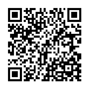 被大白和水晶纠缠住的蛇王顿时无法分心再指挥蛇群二维码生成