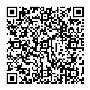 被妮娜的突然飞扑感到受宠若惊又吓得手足无措的入江正一手忙脚乱的抱紧了炮弹一样冲到自己怀里的妮娜二维码生成