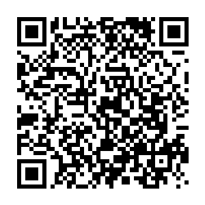 被妮娜邀请来的小伙伴们带着或大或小的土特产走出了白兰和妮娜的家二维码生成