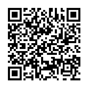 被安排在周一强档的八点档――这可是当家剧集的地位二维码生成