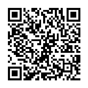 被巨大的动静惊醒之后还没等他们准备战斗战斗就已经结束了二维码生成