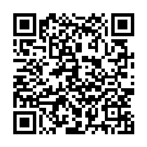 被巨无霸抓的憋气难受的巨头鱼倒是无所畏惧的气愤叫嚷道二维码生成
