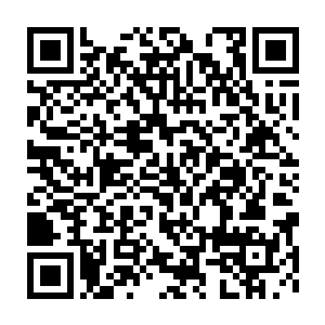 被我从里面用符咒锁住的棺材板子此刻也微微有了一些松动的迹象二维码生成