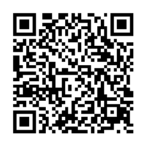被打的血肉模糊的湛天丞捂着胸口跌得撞撞的来到他们面前二维码生成