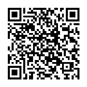 被推销的教授会就拿起这本他没有看过的教材翻一翻二维码生成
