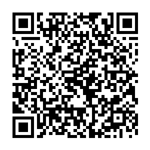 被晾上广场中央的老祭司用力的咳嗽了一声提醒龙战和凌菲他的存在二维码生成