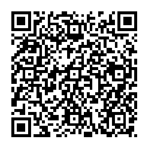 被杀的那个青袍老者不是……青云宗的白长老吗……我记得他是半步界王修为……二维码生成