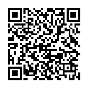 被流墨墨组织成网的血妖姬之力诡异的被两股力量穿透而过二维码生成