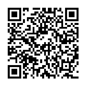被爆炸声震荡过一次的耳朵里就听到了连续而密集的爆炸声二维码生成