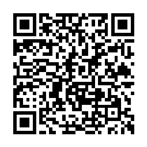 被砸到地上的墨梓熏迷离的桃花眼也清醒了几分二维码生成