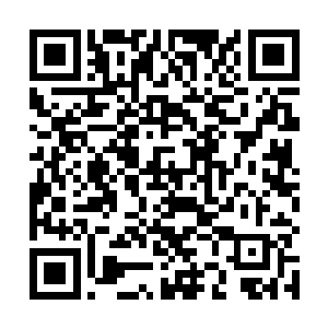 被罚上了看台――结果真的没有回到自己的座位上……二维码生成