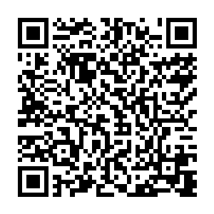 被血焰烧灼了一枚龙鳞只动弹了一下就没了动静的敖文蕾却是猛然惊怒啸了一声二维码生成