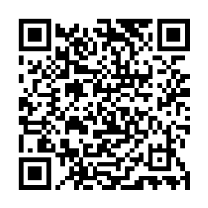 被赞许为全世界最伟大的年轻驯兽师……赵――志――航二维码生成