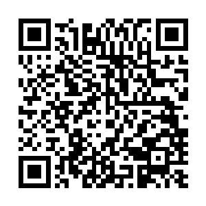 被那巨大诅咒之手擒拿住的叶尊已经来到了诅咒谷深处位置二维码生成