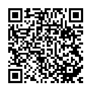 被魔化了将近一周的谷安明的脸上已经看不出以前端正的模样二维码生成