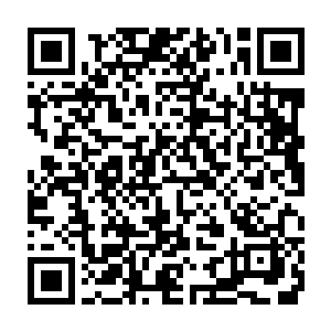 袭偷的耻无此如会然竟阳星到想没也乎似家管灵幽的形身出显 二维码生成