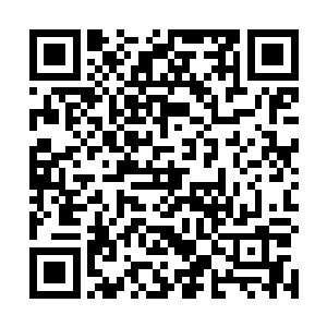 裂风狼王的实力也确实弱了一些……它这一击虽然凶横二维码生成