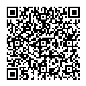 装不慎给周围巡视的四舰捕获……几位道友正由它口中得到伶仙子的实力损耗消息二维码生成