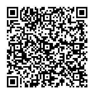 装模作样……我必须轻度麻木才能够重获我在孩提时代曾有过的热情……在我们所有人中都有善意二维码生成