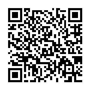 西塔山区内起码会陆续建成超过三十家有一定规模和档次的酒店二维码生成