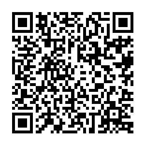 西家美人们原来最爱的是双剑合璧啊……谢谢亲爱滴们送的辛苦攒到的月票二维码生成
