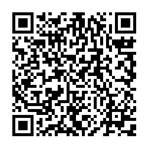 西瑟先生非常客气的请求穆根在这段时间照顾包括普伦古力在内的堪塔斯幼崽们二维码生成