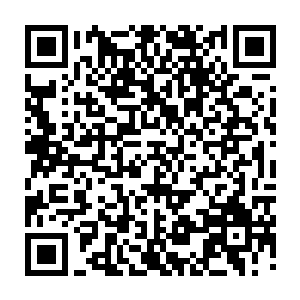 西荒界域已经很长时间没有出现过有能力统御整个西荒界域的教派或者大人物二维码生成