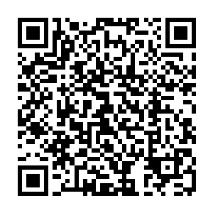 要不就是推动的那个可能惠及千家万户的中药材种植基地和中药材专业市长程二维码生成